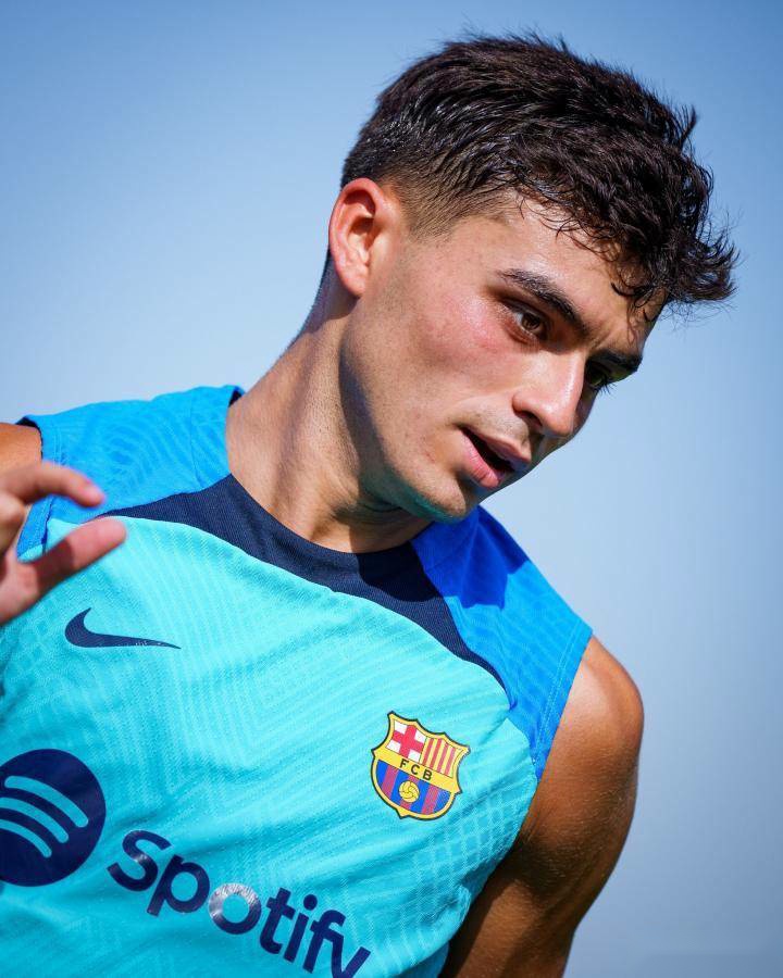 包含巴萨名将佩德里宣布加盟泰山,为球队带来更多进攻火力的词条 包含巴萨名将佩德里宣布加盟泰山,为球队带来更多进攻火力的词条