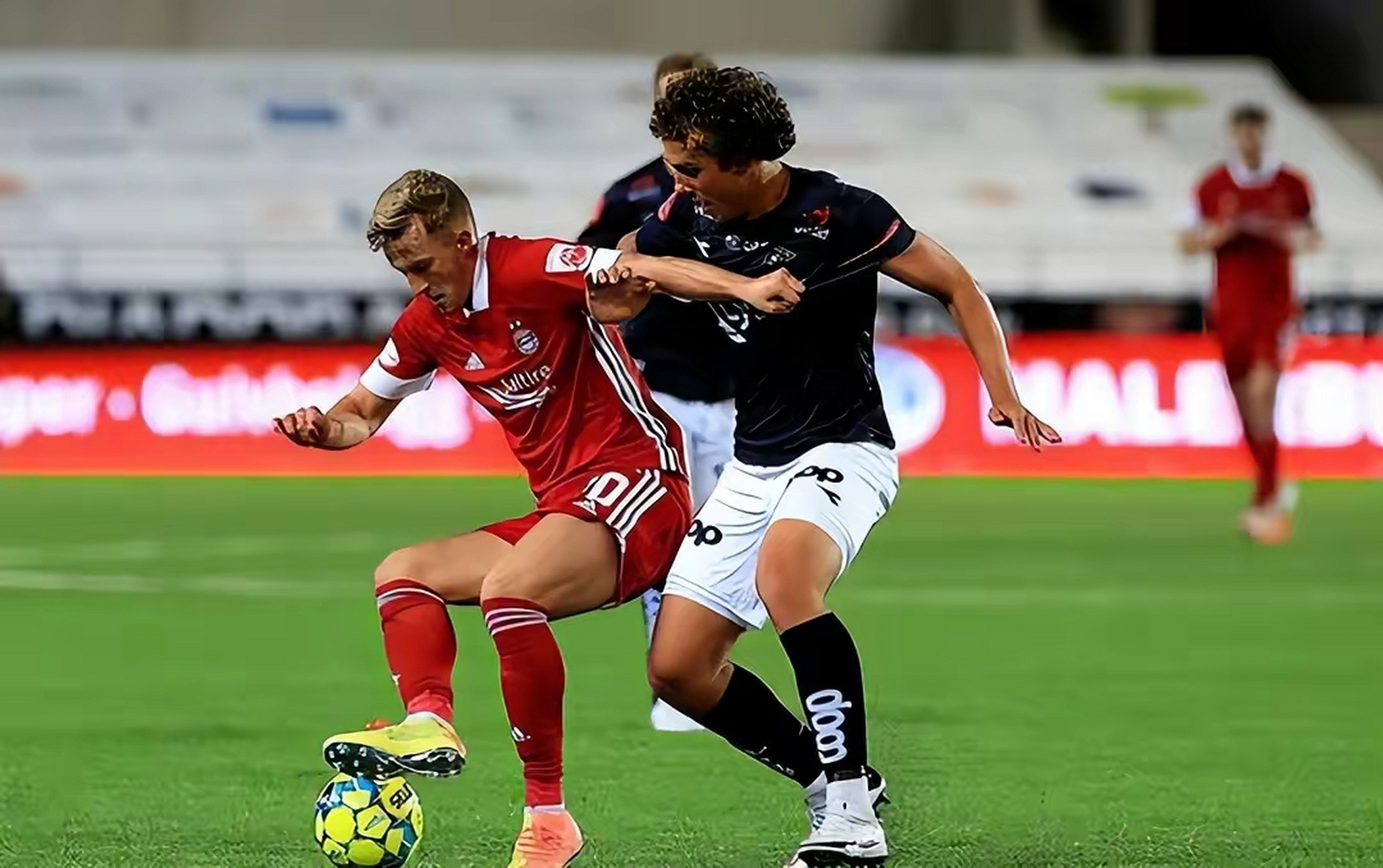 桑普多利亚逼平博洛尼亚,争取保级希望 桑普多利亚逼平博洛尼亚,争取保级希望